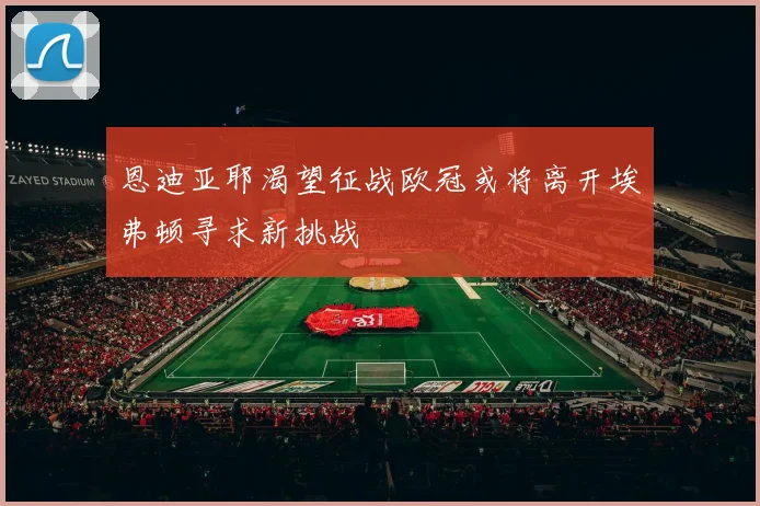 恩迪亚耶渴望征战欧冠或将离开埃弗顿寻求新挑战